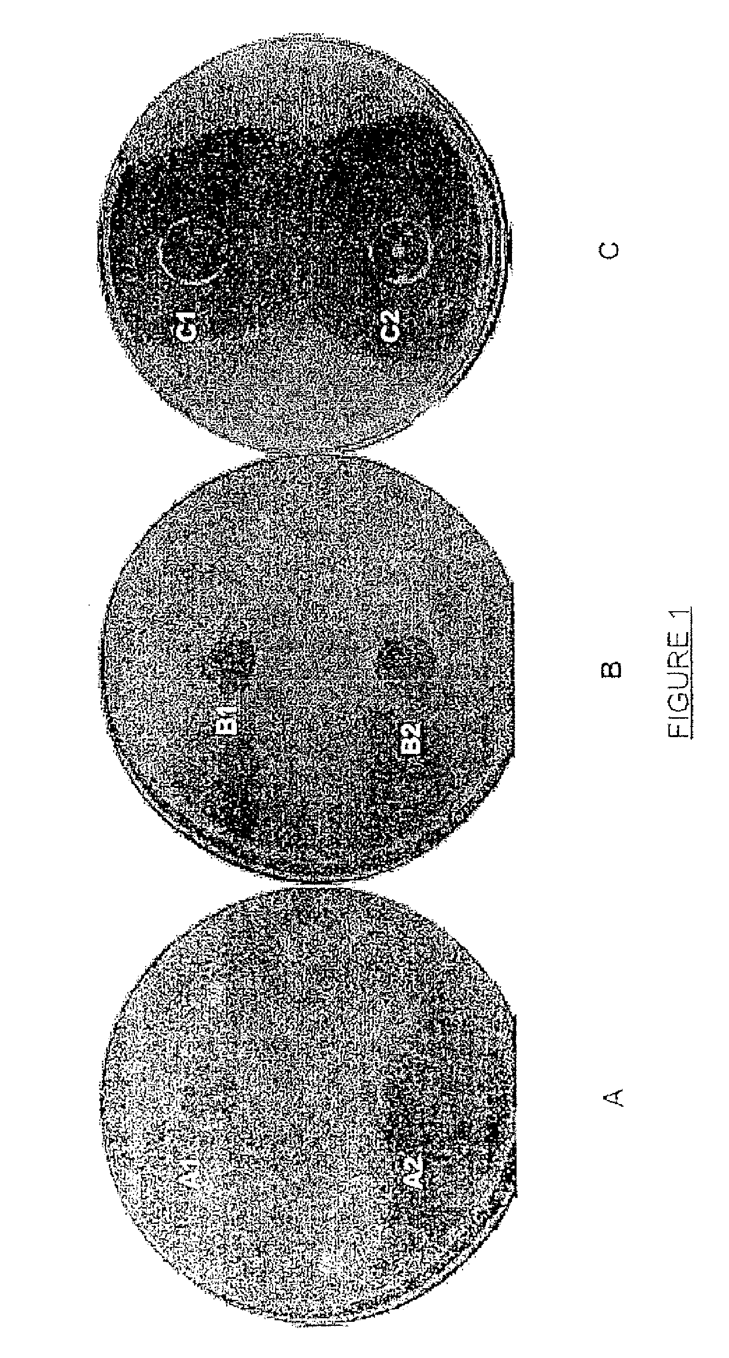 Compounds having a potentiating effect on the activity of ethionamide and uses thereof