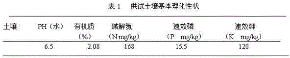 Chinese medicinal residue biological organic fertilizer and preparation method thereof