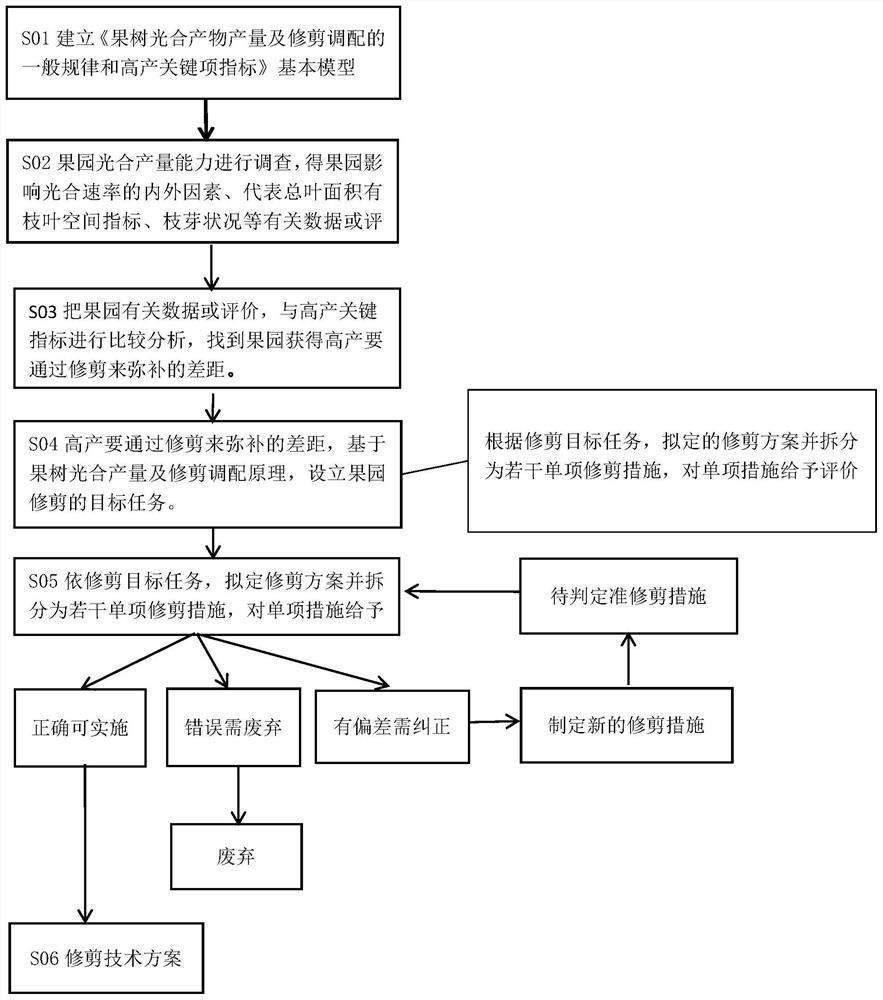 Pruning evaluation and adjustment method based on fruit tree photosynthetic yield and distribution principle