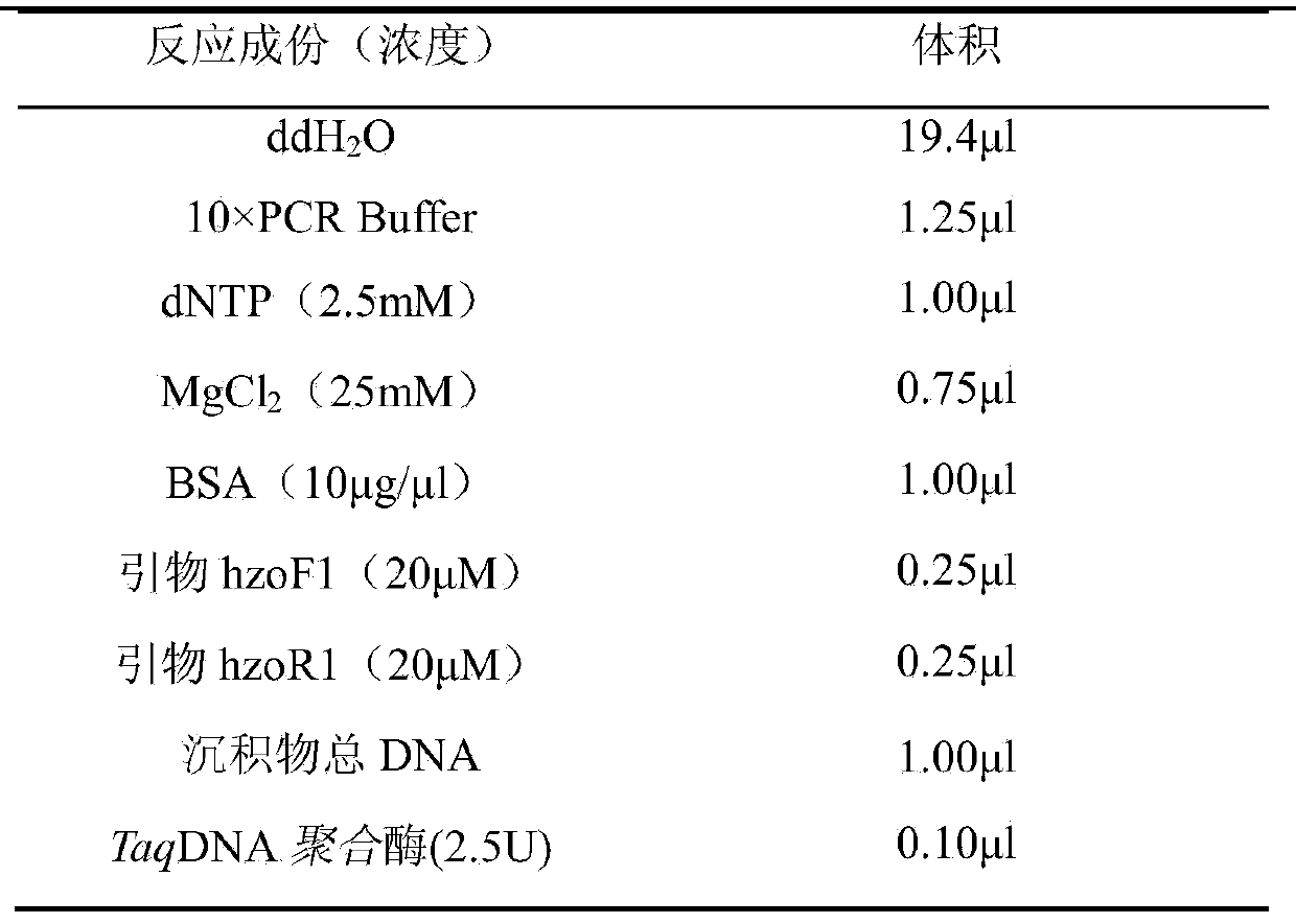 Method for quantitating anaerobic ammonia oxidizing bacteria in sediment of aquiculture environment