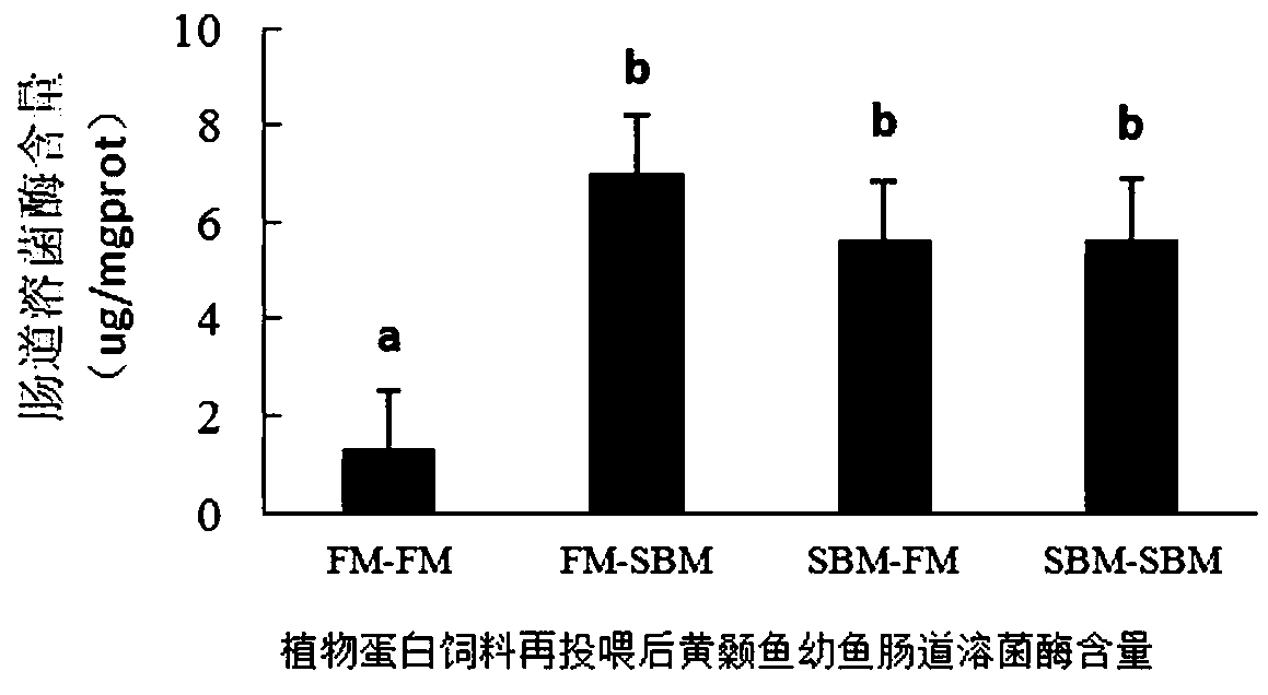 Pelteobagrus fulvidraco larva fish high in vegetable protein tolerance and cultivating method of pelteobagrus fulvidraco larva fish high in vegetable protein tolerance