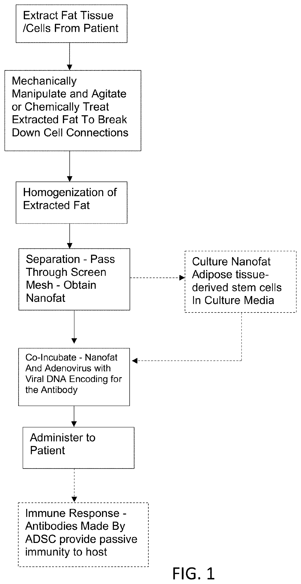 Methods and compositions for therapeutic treatment of viral or virally-induced infections and conditions, and Anti-viral compositions and their production