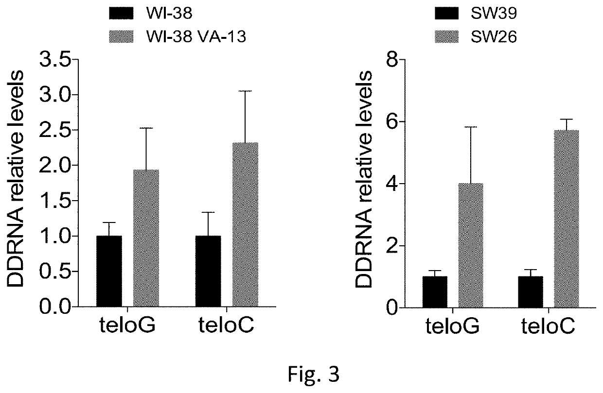 Therapeutic oligonucleotides