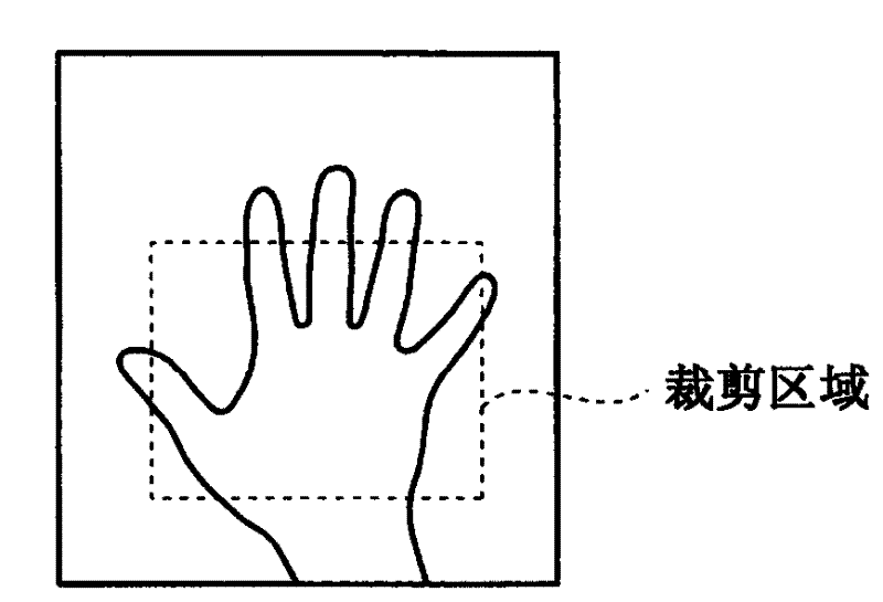 Radiographic imaging system