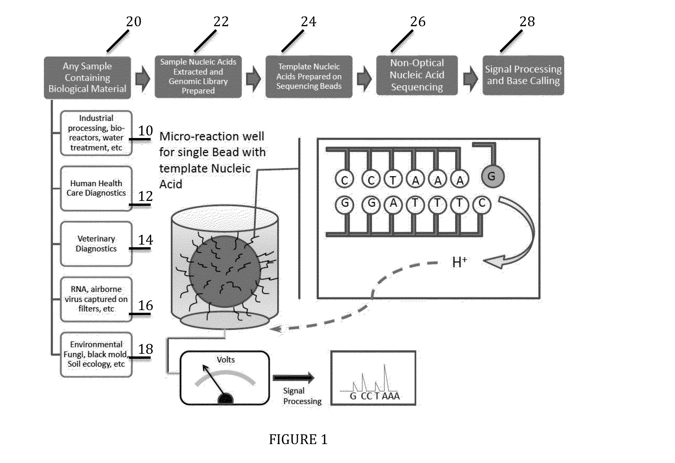 Universal or broad range assays and multi-tag sample specific diagnostic process using non-optical sequencing