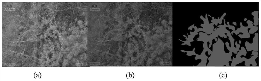 Forage dominance recognition method based on convolutional neural network