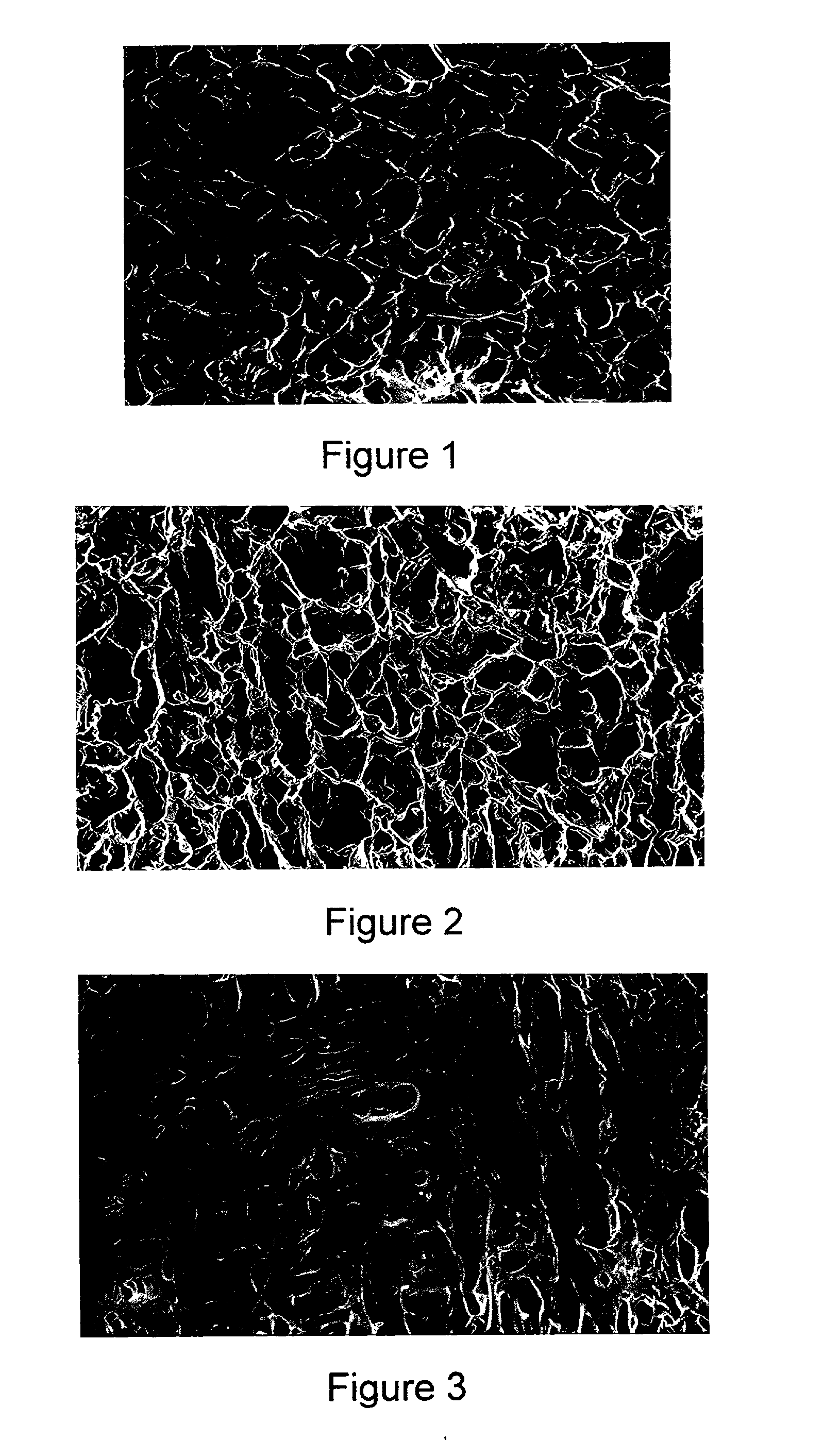 Method for making a porous Polymeric material