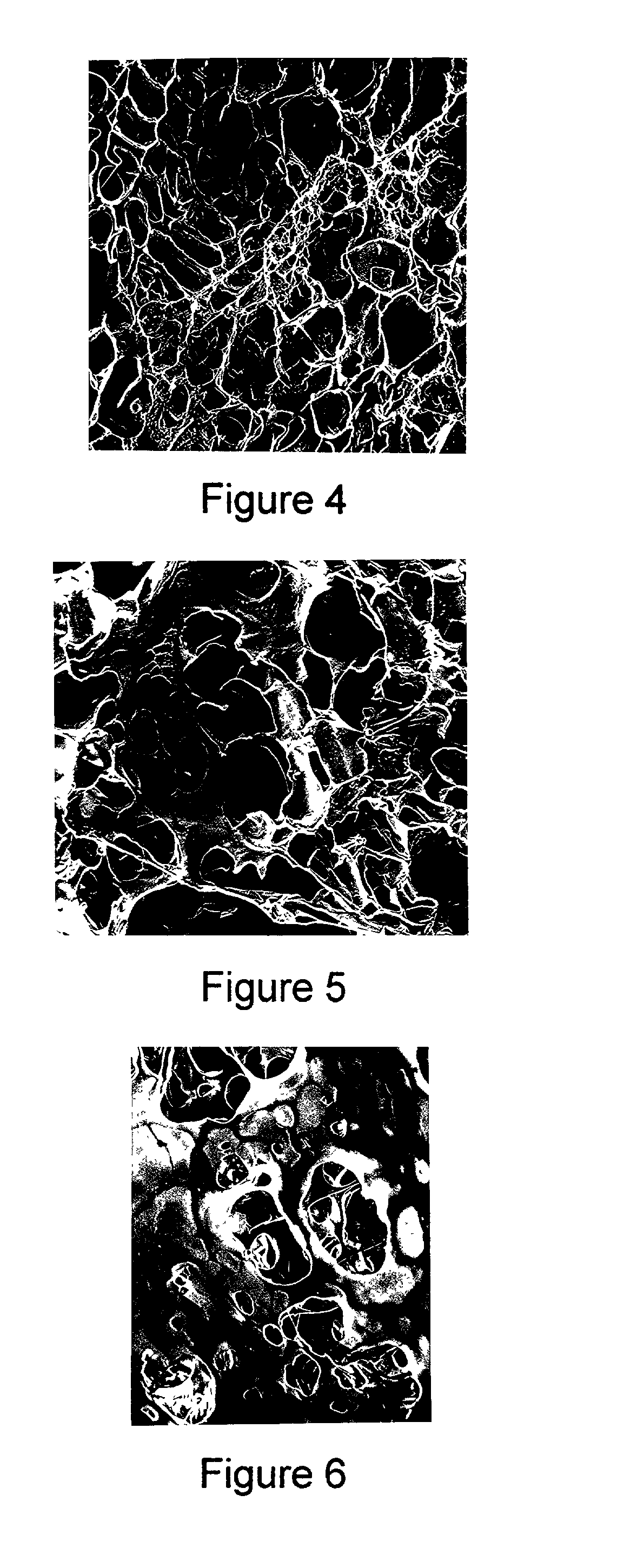 Method for making a porous Polymeric material