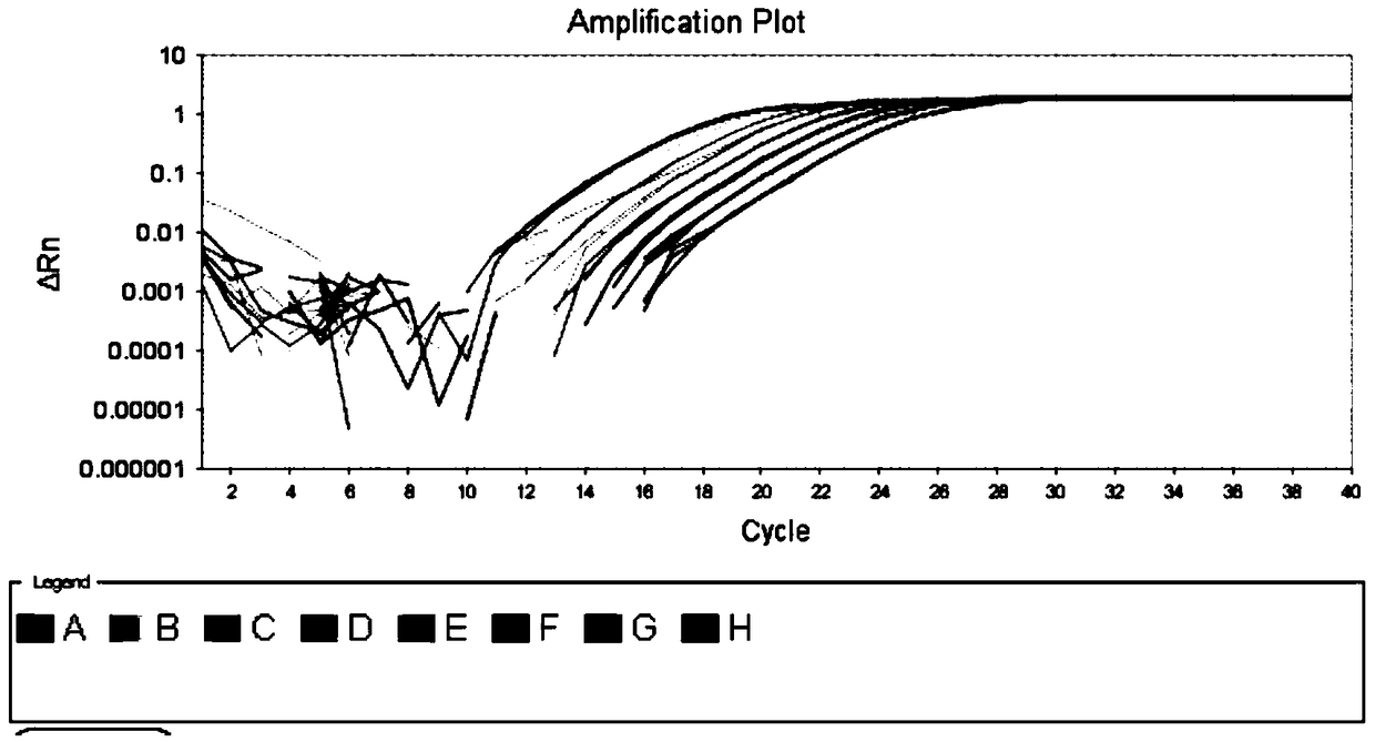 Rapid qualitative and quantitative detection kit, detection method and application of Lactobacillus casei added in feed