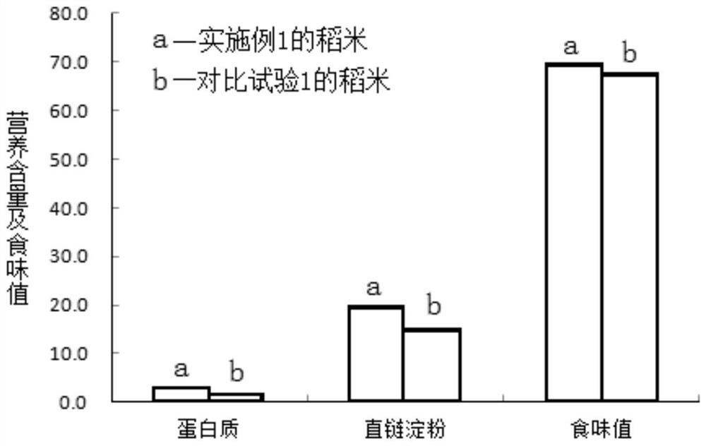 A nutrient regulation method for improving the eating quality of rice in saline-alkali land