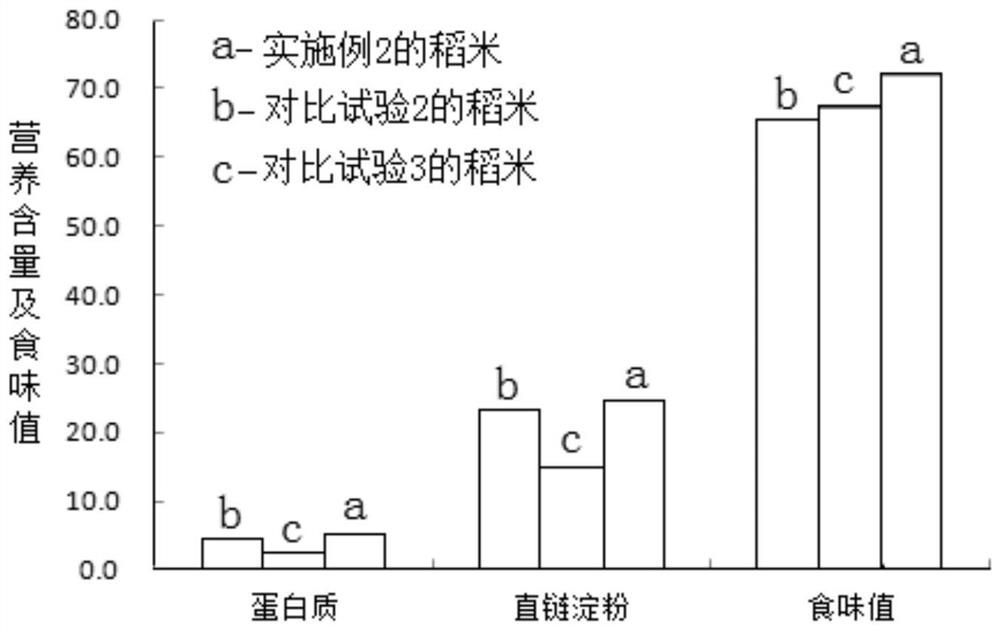 A nutrient regulation method for improving the eating quality of rice in saline-alkali land