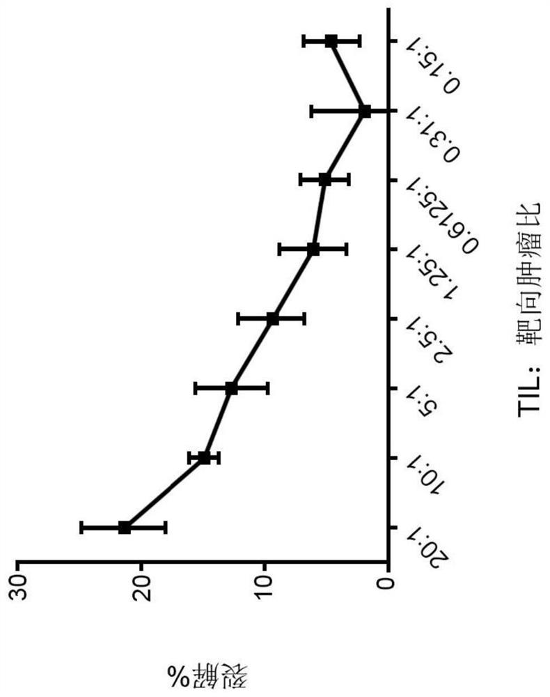 Chimeric antigen receptor tumor infiltrating lymphocytes