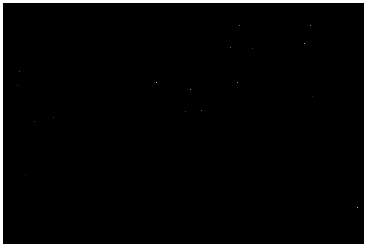 Method for preparing manganese sulfide nanosheets employing quantum dot seed process