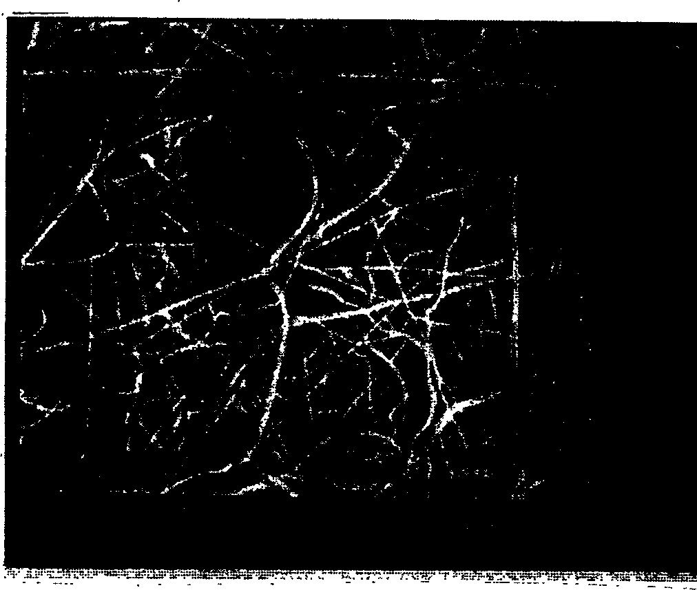 Porous materials functionalized by vacuum deposition