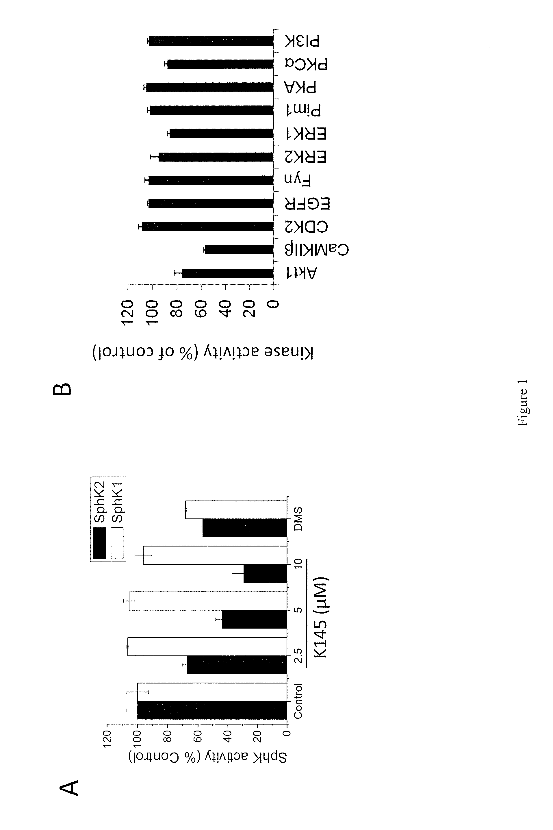 3-(2-amino-ethyl)-alkylidene)-thiazolidine-2,4-dione and 1-(2-amino-ethyl)-alkylidene-1,3-dihydro-indol-2-one derivatives as selective sphingosine kinase 2 inhibitors