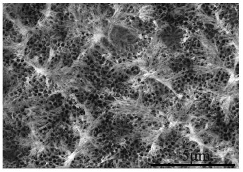 A surface treatment method for anti-frost