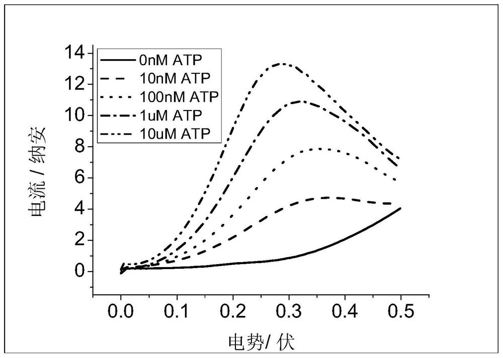An electrochemical sensor for rapid detection of unstable substances and a method for rapid quantitative detection of ATP using the same