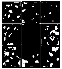 Parallel realization method for reconstructing spot diagram in astronomic image by K-T algorithm