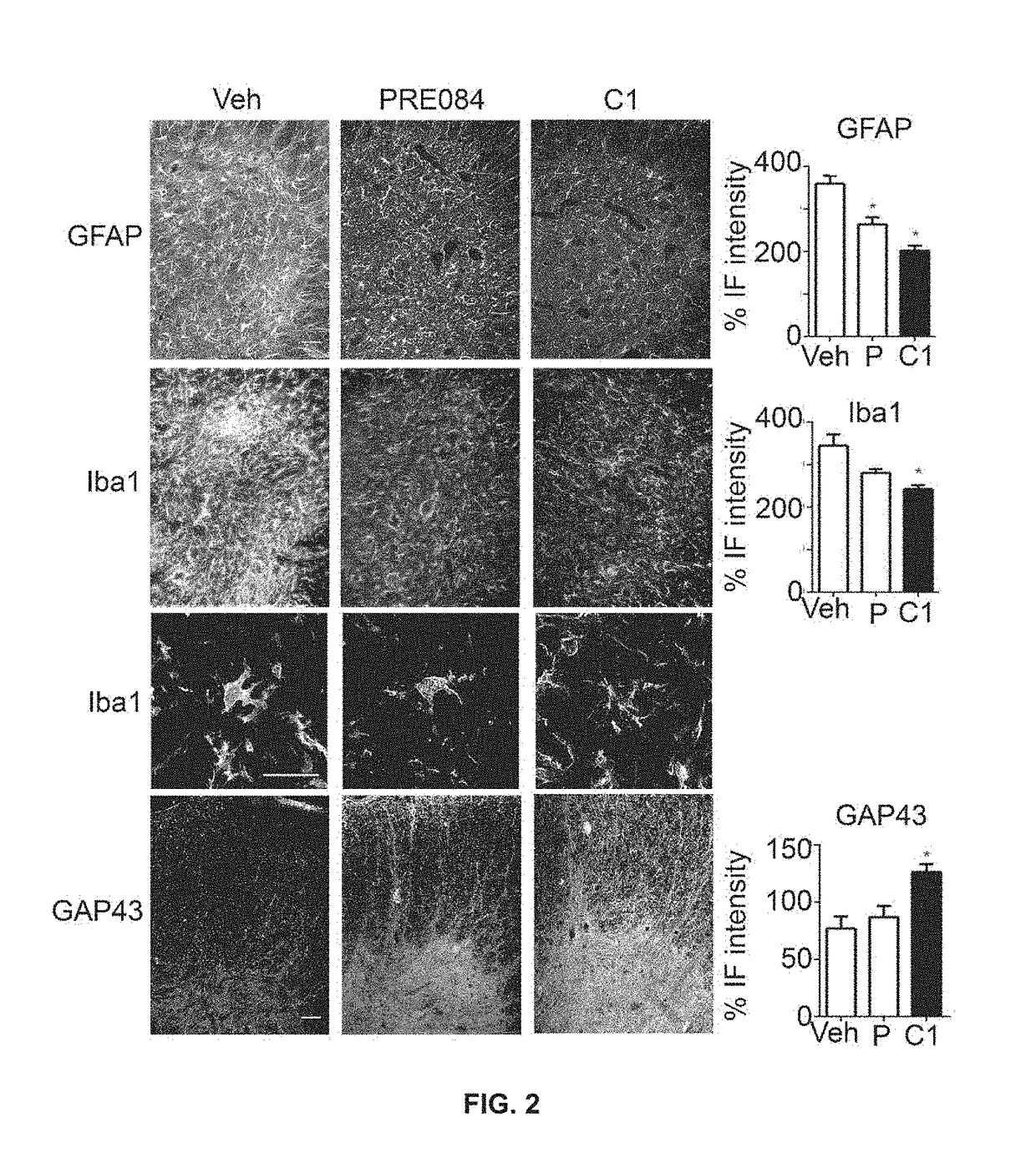 New combination therapies for treating neurological damage