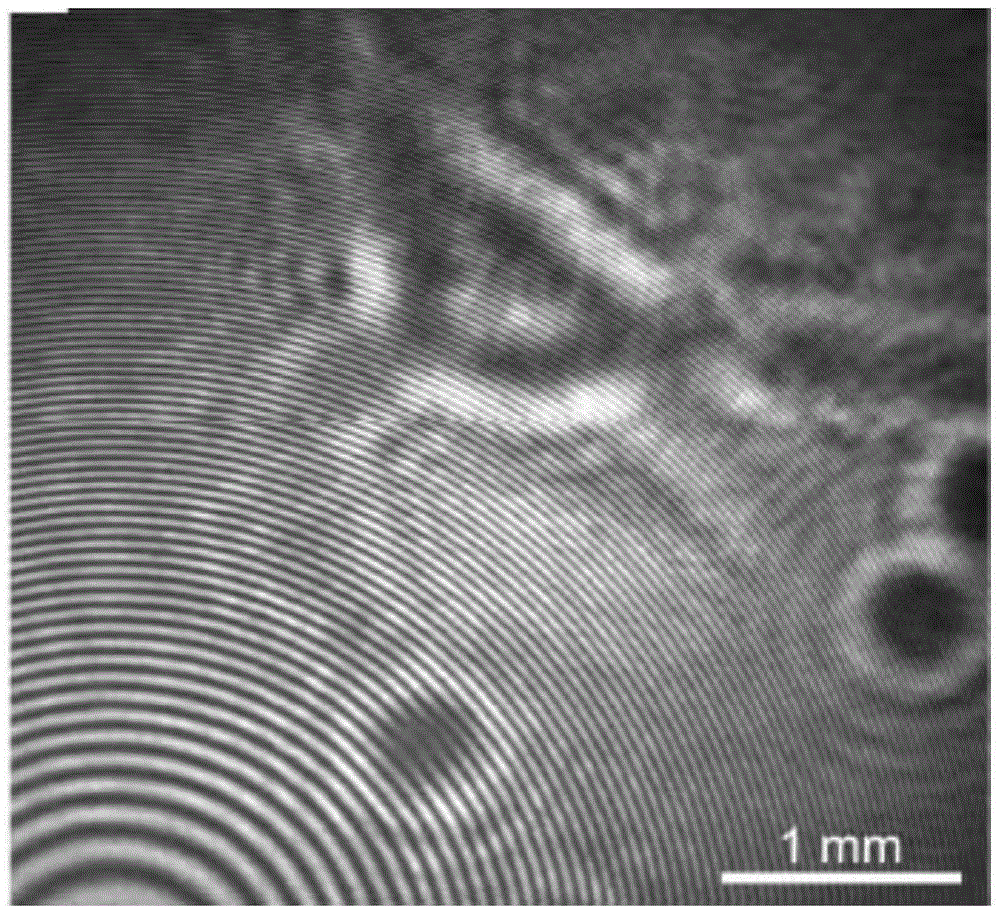 Transmissive Quantified Phase and Fluorescence Combined Imaging Microscopy