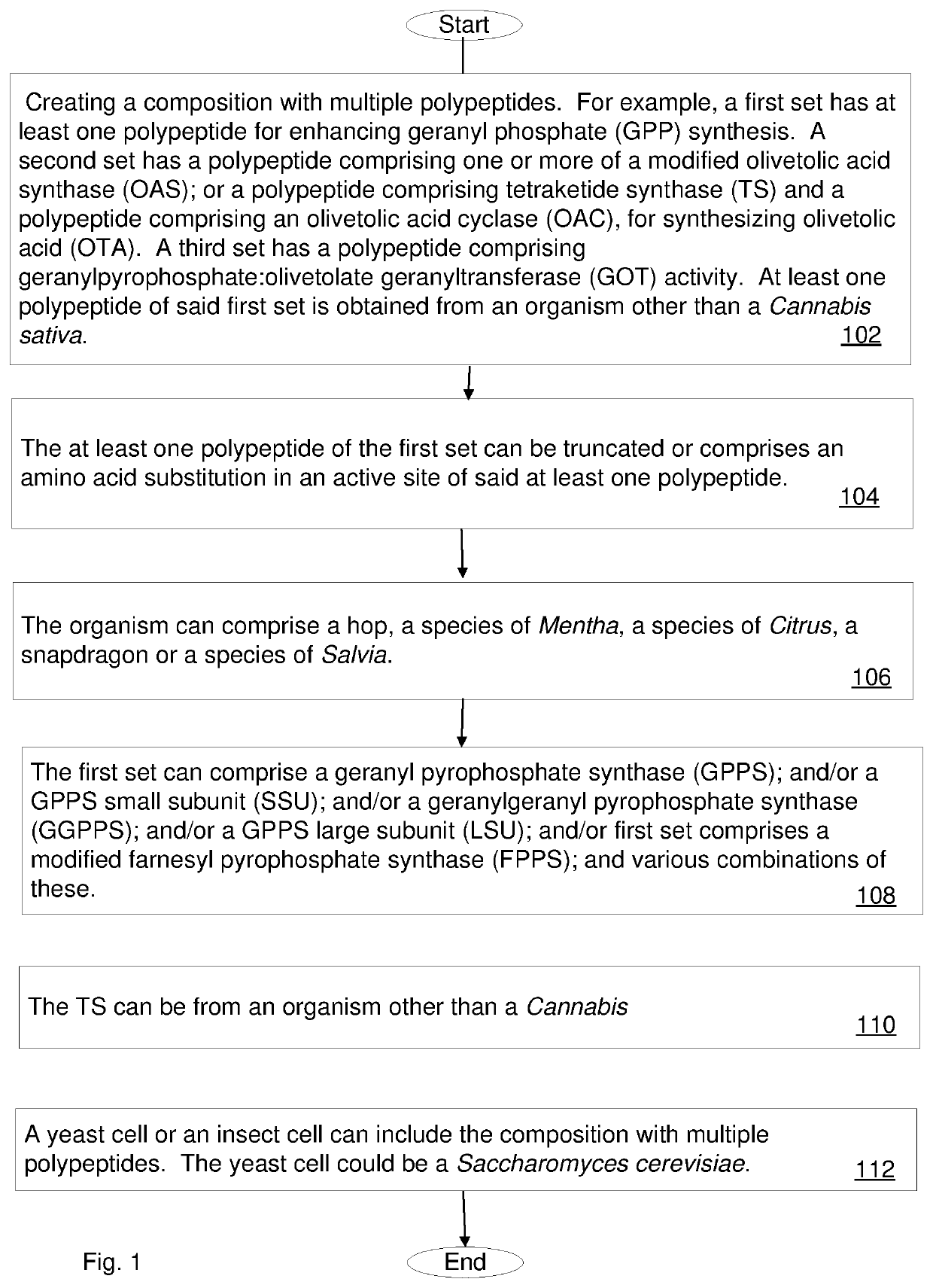 Cannabinoid Production by Synthetic In Vivo Means