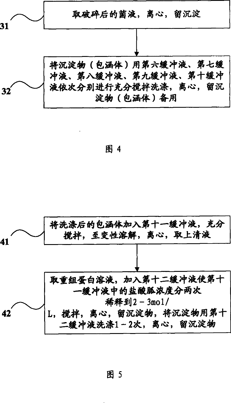Extraction and purification process for recombinant protein