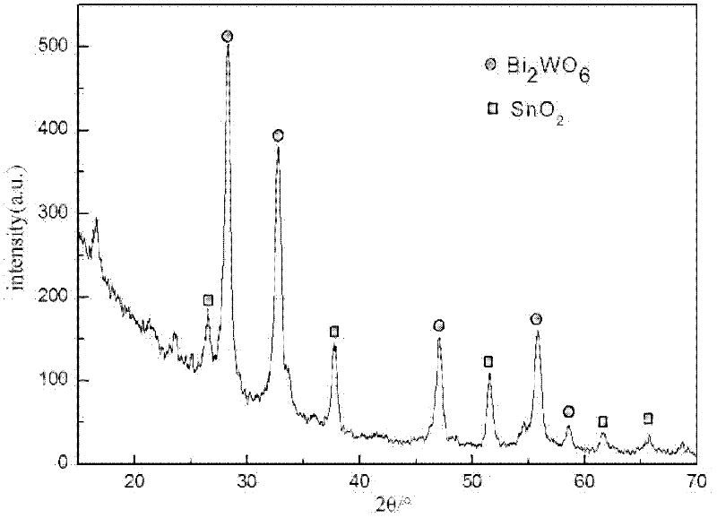 Method for preparing bismuth tungstate film in sol-gel method