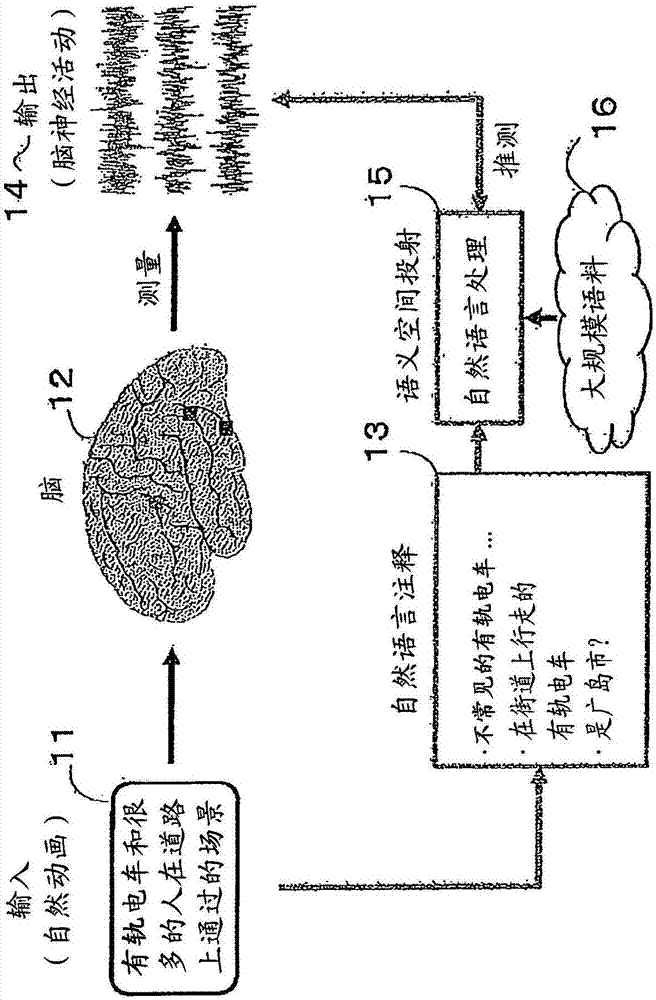 Method for estimating perceptual semantic content by analysis of brain activity