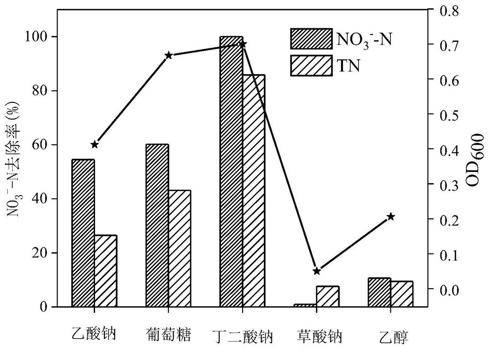 Pseudomonas luteolus wxp-4 and its application in denitrification