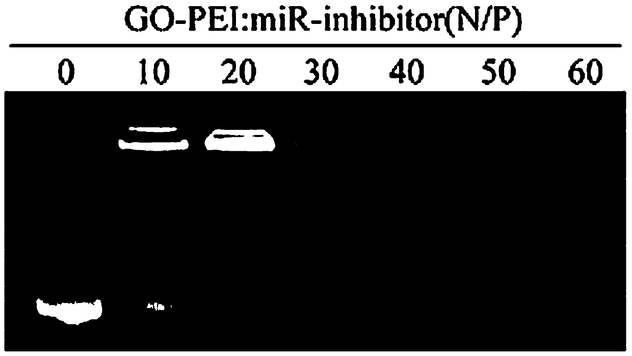 Preparation method and application of degradable material having function of inducing osteogenic differentiation and osteanagenesis