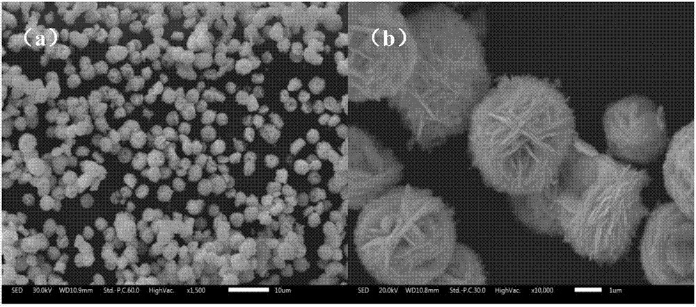 Bismuth tungstate composite photocatalyst modified by nitrogen-doped carbon quantum dot and preparation method and application thereof