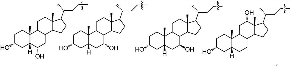 A long-acting rasagiline prodrug and its preparation method and application