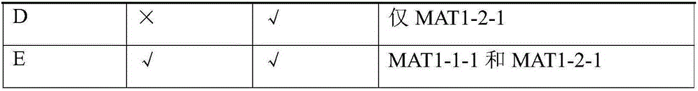 Primers special for identification of mating type determining genes of morchella and fruiting capability prediction method