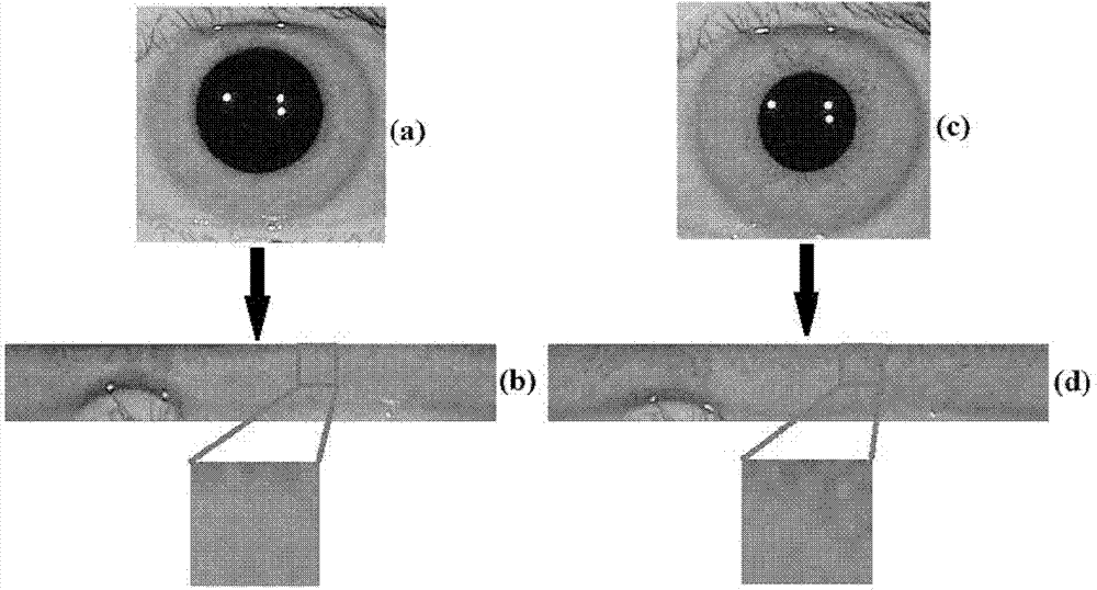 DAISY-characteristic-based deformable iris matching method