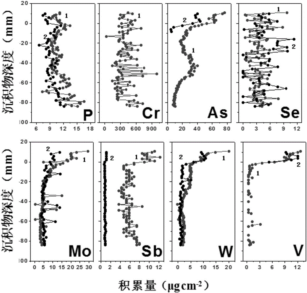 DGT-based method for synchronously measuring eight kinds of oxidized anions