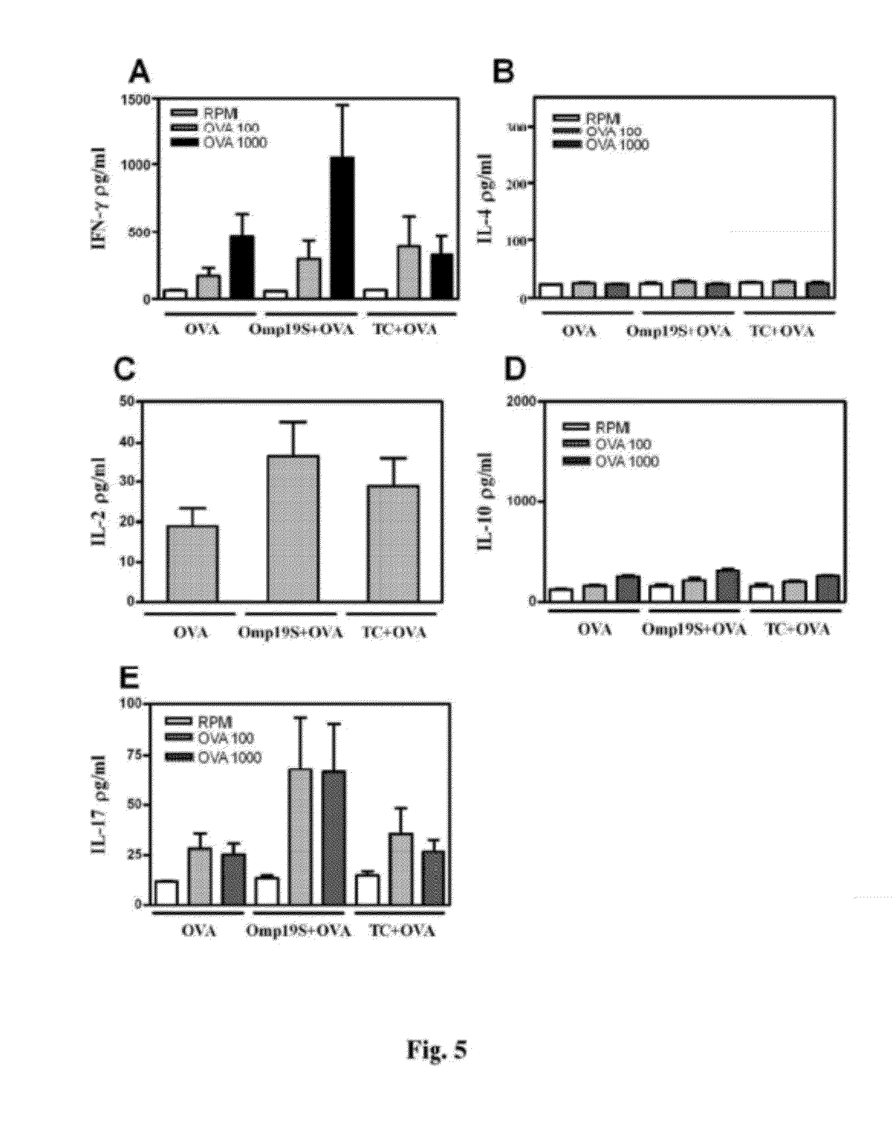 Adjuvant for vaccines, vaccines that comprise said adjuvant and uses thereof