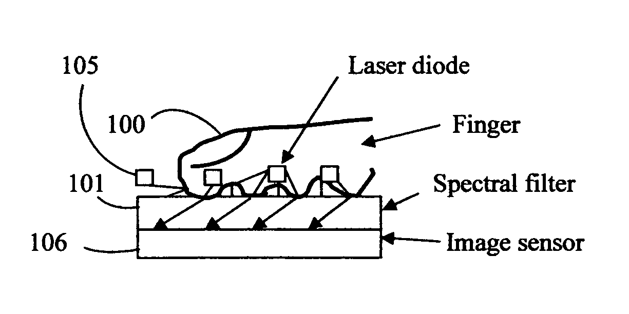 Fingerprint sensor using a spectral filter and a holographic optical element