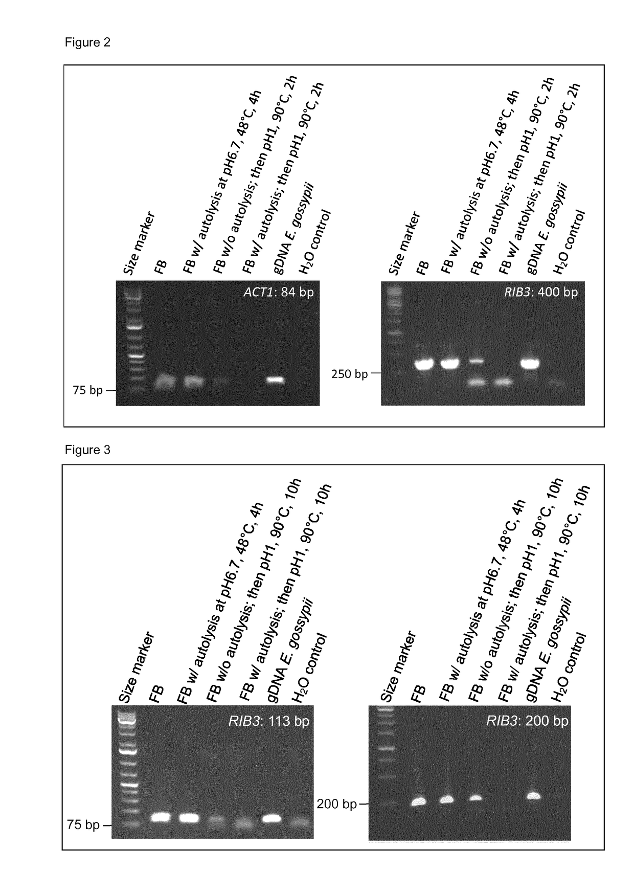 Method of removing DNA from biotechnological products