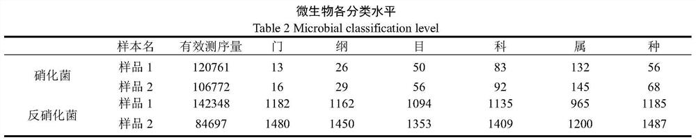 A system for removing inorganic nitrogen in low-temperature seawater holding tank