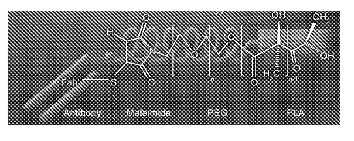 Constructs for diagnosing and treating inflammatory bowel diseases and colon cancer