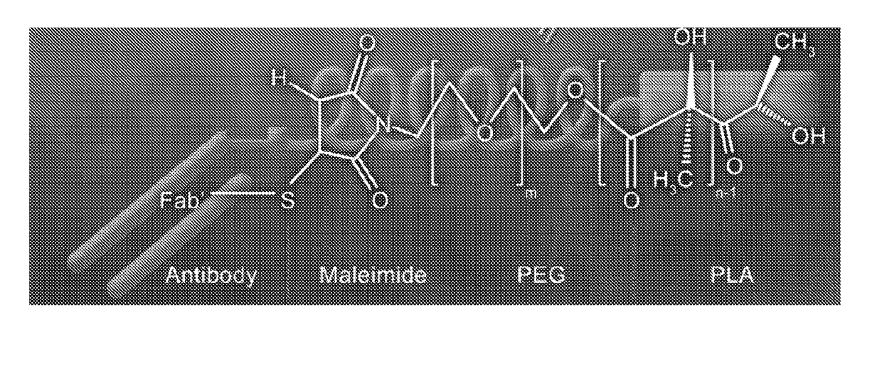 Constructs for diagnosing and treating inflammatory bowel diseases and colon cancer