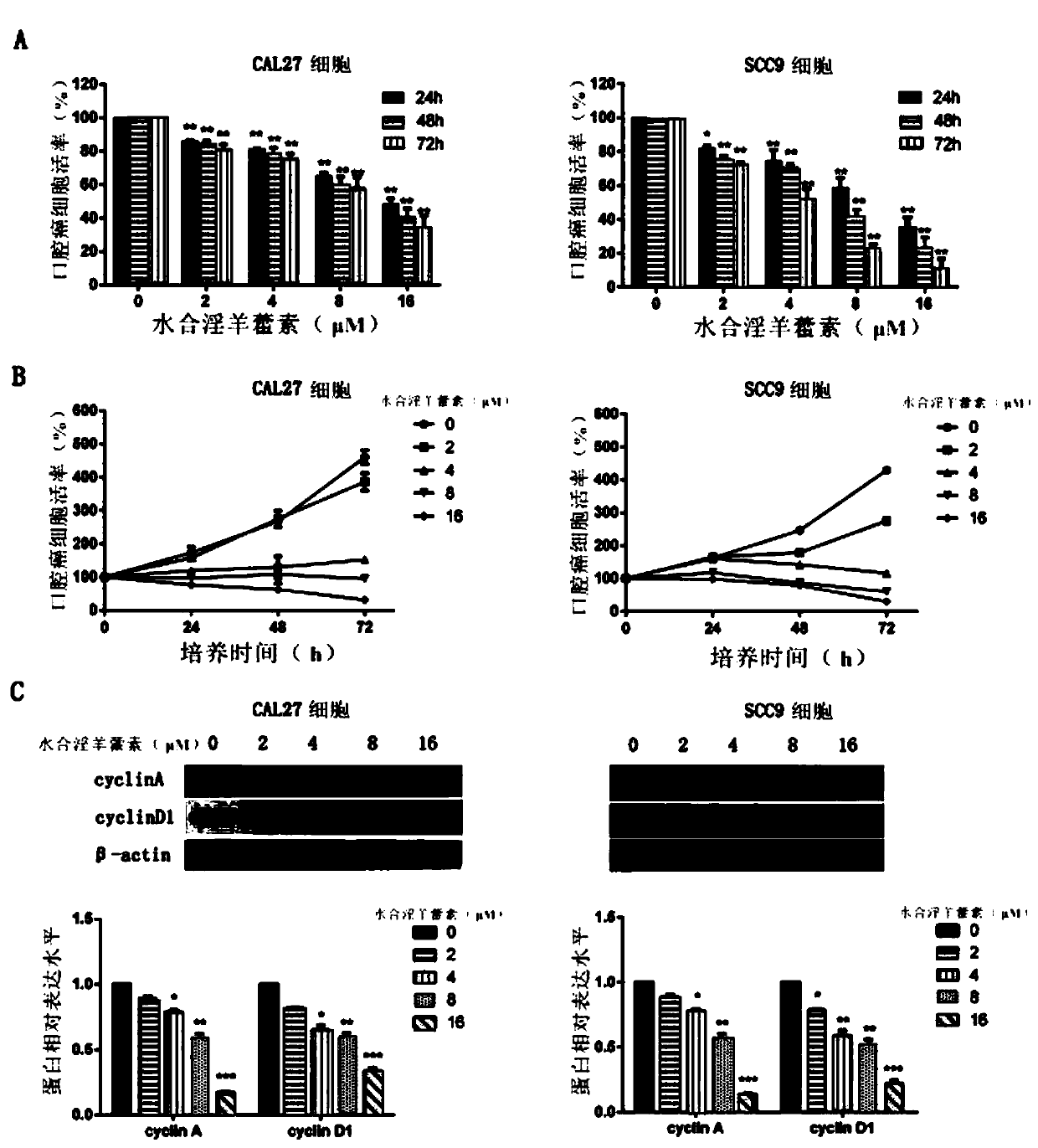 Application of icaritin hydrate for preparing medicine capable of inhibiting STAT3 (Signal Transducer and Activator 3 of Transcription) signal pathway and preventing and curing oral carcinoma