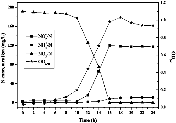 An aerobic denitrifying bacteria zj-17 and its application