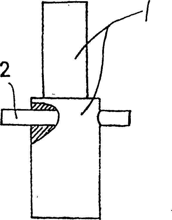 Processing method of lighter electronic striking head and its special mould