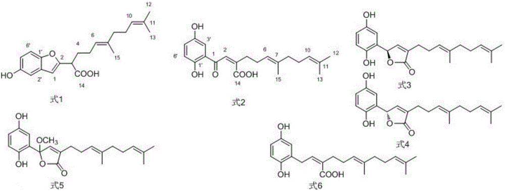 Application of p-dihydroxybenzene farnesyl compounds