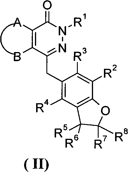 Phthalazinone derivative and its preparation method and use in medicine
