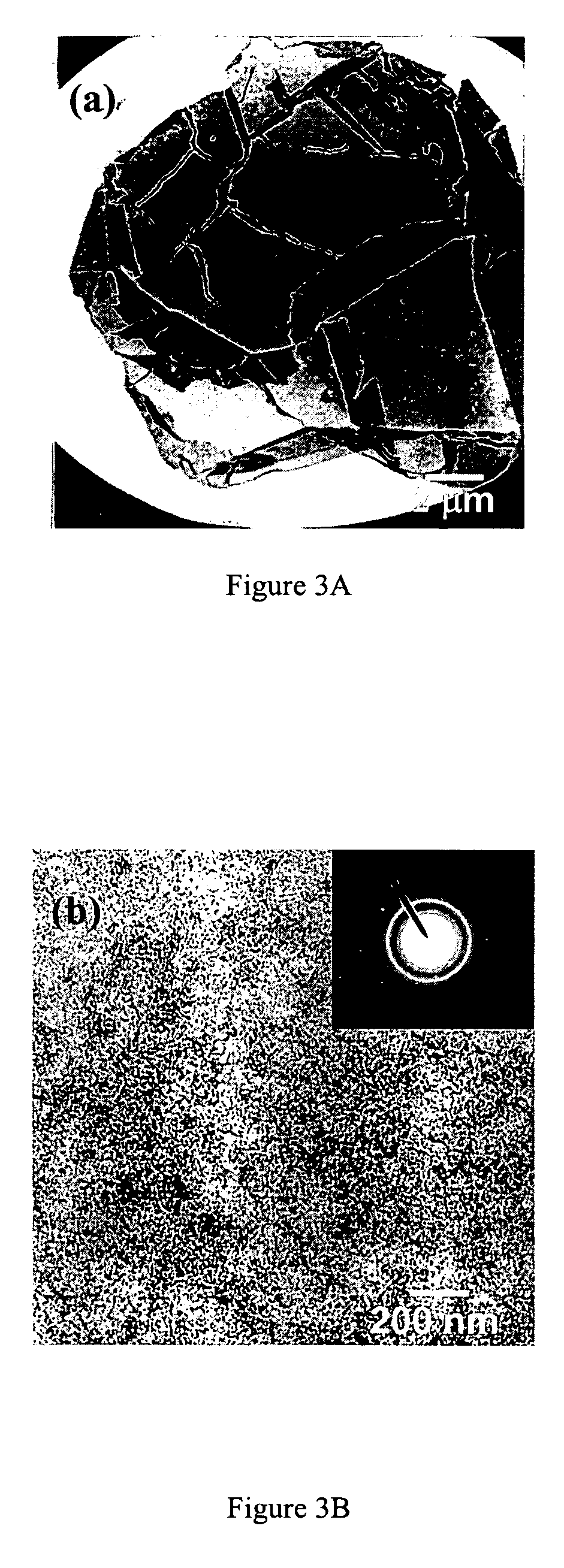 PEG-substituted pyridine ligands and related water-soluble catalysts
