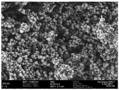 Preparation method of mesoporous silicon dioxide nanomaterial with fluorescent imaging and drug loading functions