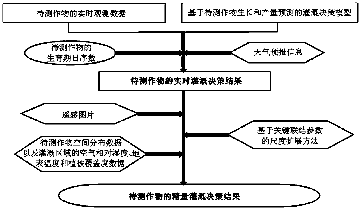 Crop precision irrigation decision-making method and system