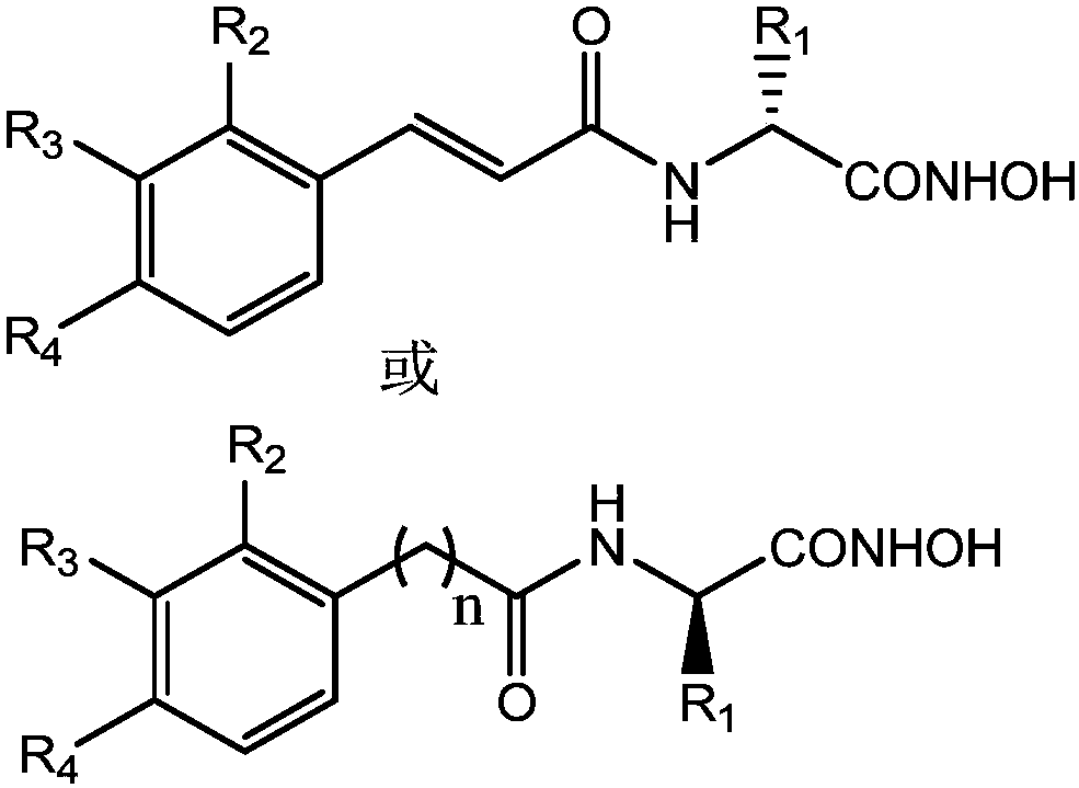 Amino acid-hydroxamic acid aminopeptidase N inhibitor and preparation method thereof